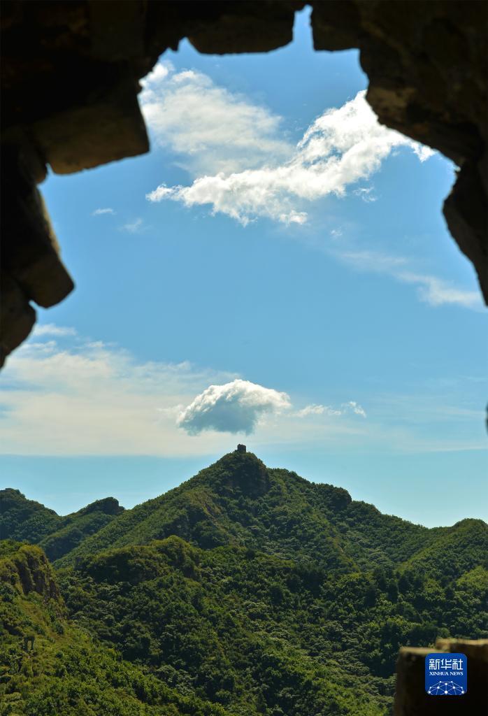 九州最新备用地址
